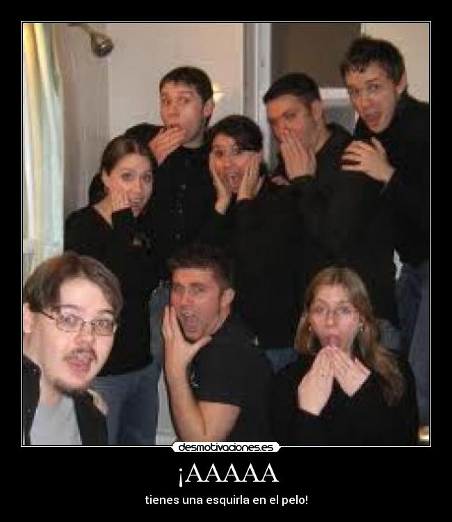 ¡AAAAA - tienes una esquirla en el pelo!