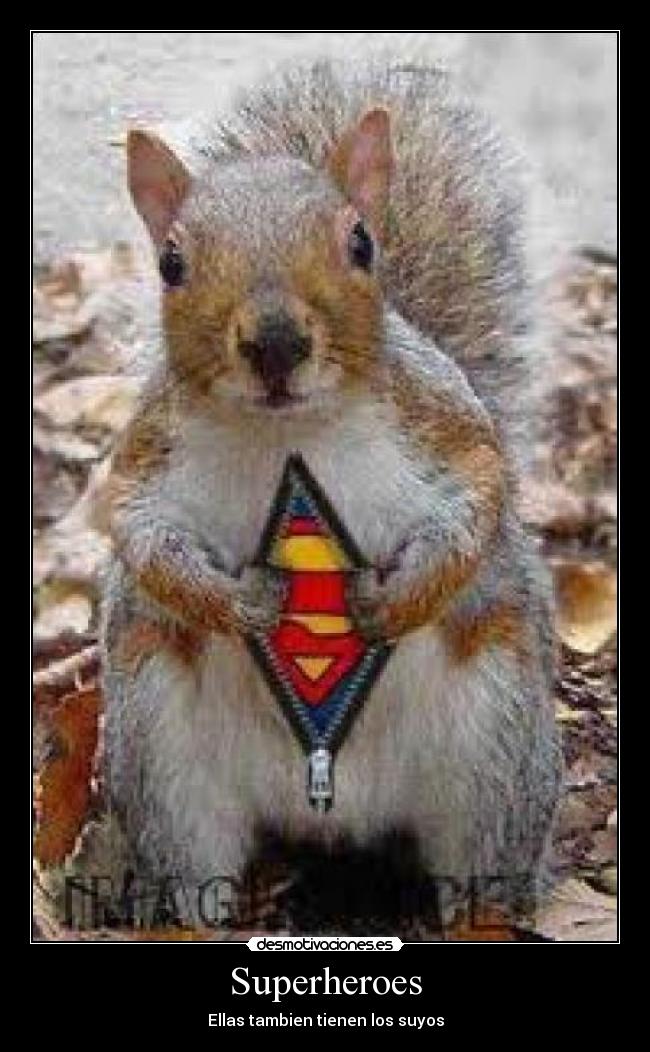 carteles superheroes ardillas desmotivaciones