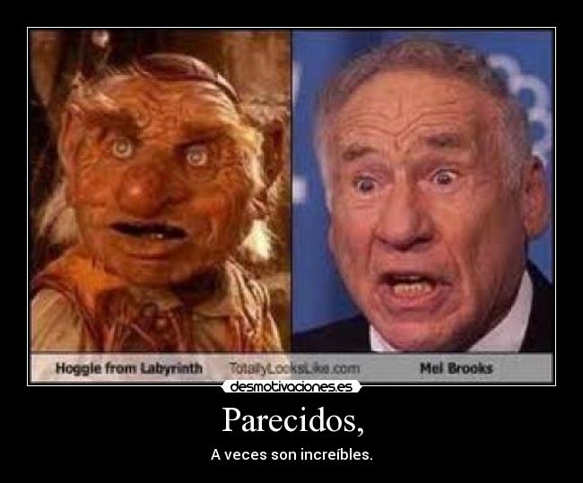 Parecidos, - A veces son increíbles.