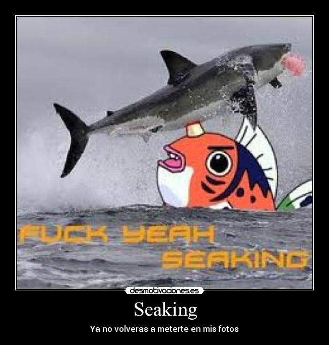 Seaking - 