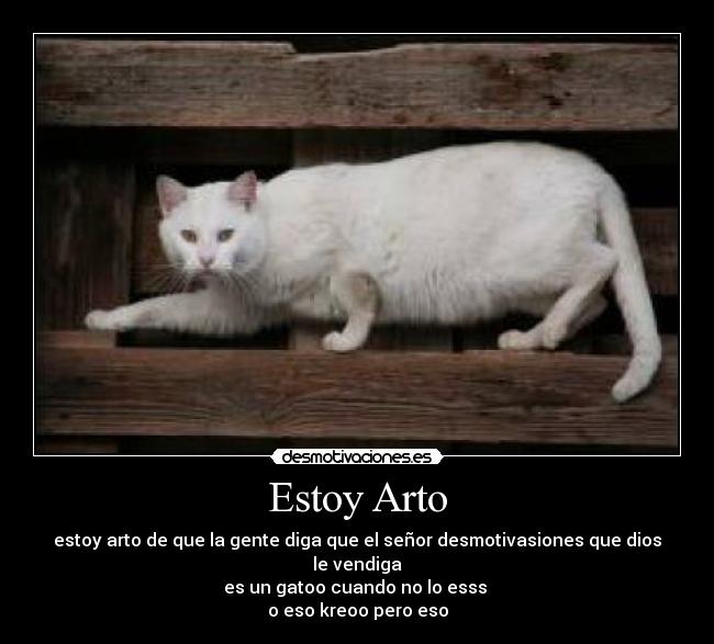 carteles gato desmotivaciones