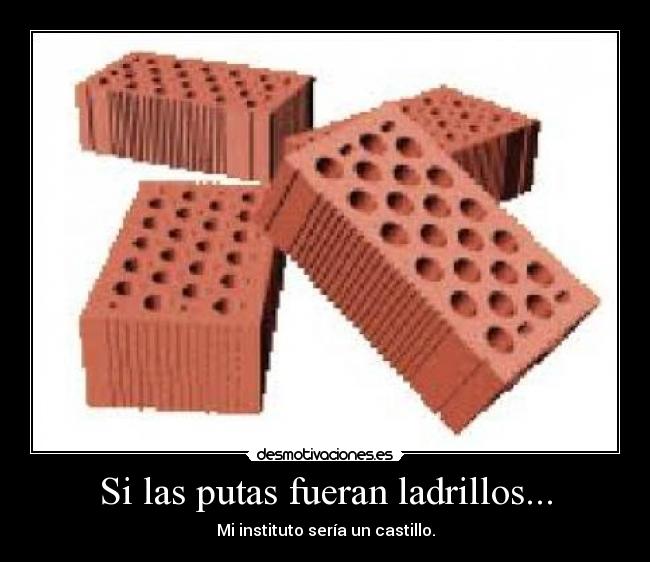 Si las putas fueran ladrillos... - 