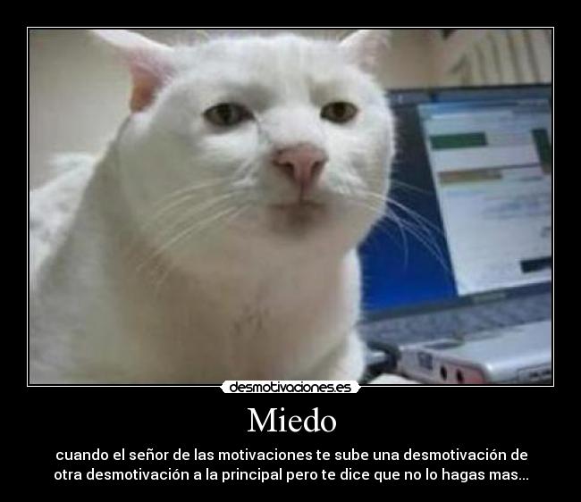 carteles miedo miedo desmotivaciones