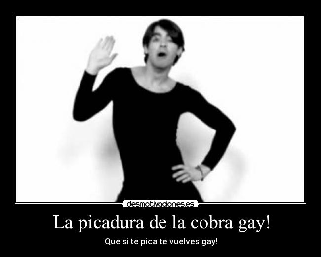La picadura de la cobra gay! -