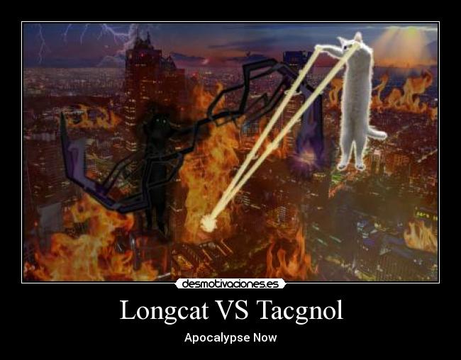 Longcat VS Tacgnol - 