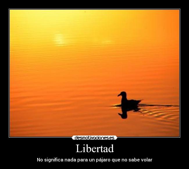 carteles libertad libertad pajaro puesta sol desmotivaciones
