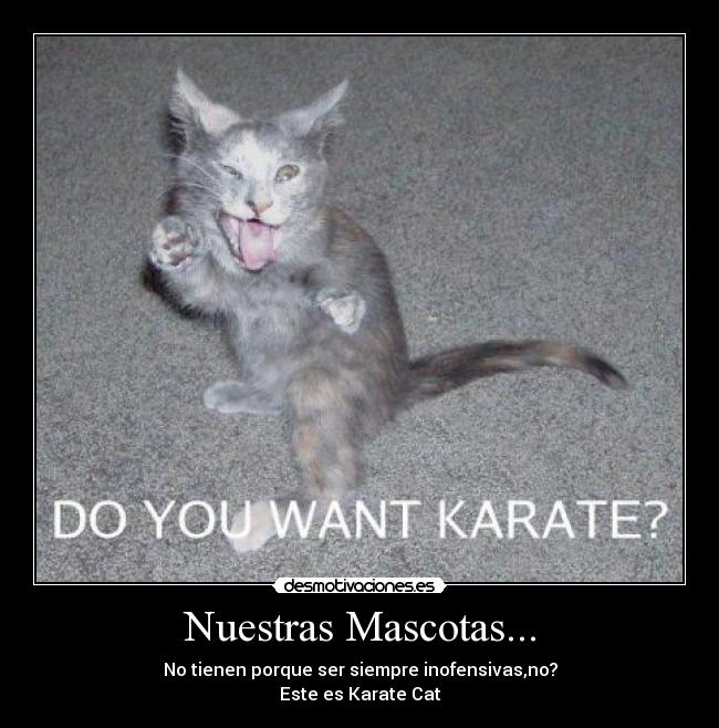 Nuestras Mascotas... - 