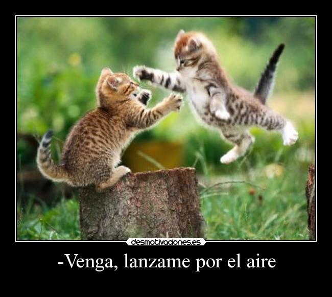 -Venga, lanzame por el aire -