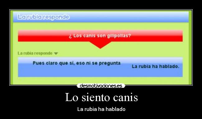 Lo siento canis -
