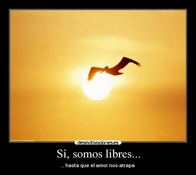 Sí, somos libres... - ... hasta que el amor nos atrapa