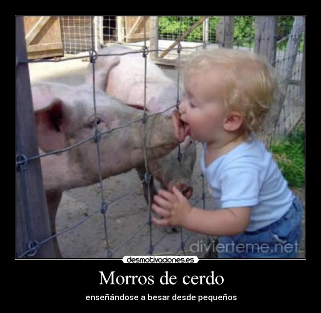 carteles humor desmotivaciones