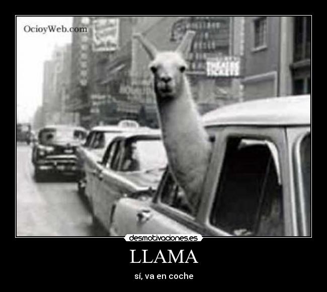 LLAMA -