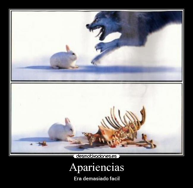 carteles animales apariencias desmotivaciones