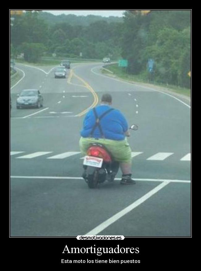 Amortiguadores - Esta moto los tiene bien puestos