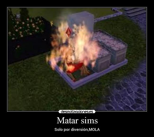 carteles sims matar diversion desmotivaciones