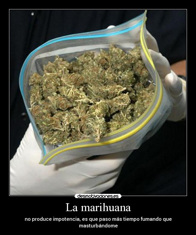 La marihuana - no produce impotencia, es que paso más tiempo fumando que
masturbándome