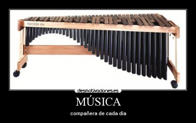 MÚSICA - compañera de cada dia