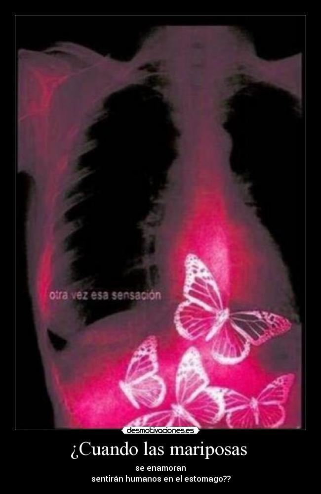 ¿Cuando las mariposas -