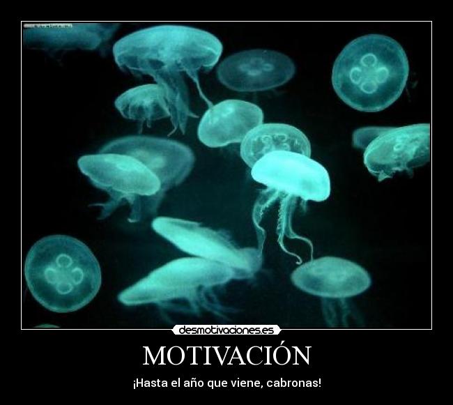 MOTIVACIÓN - ¡Hasta el año que viene, cabronas!