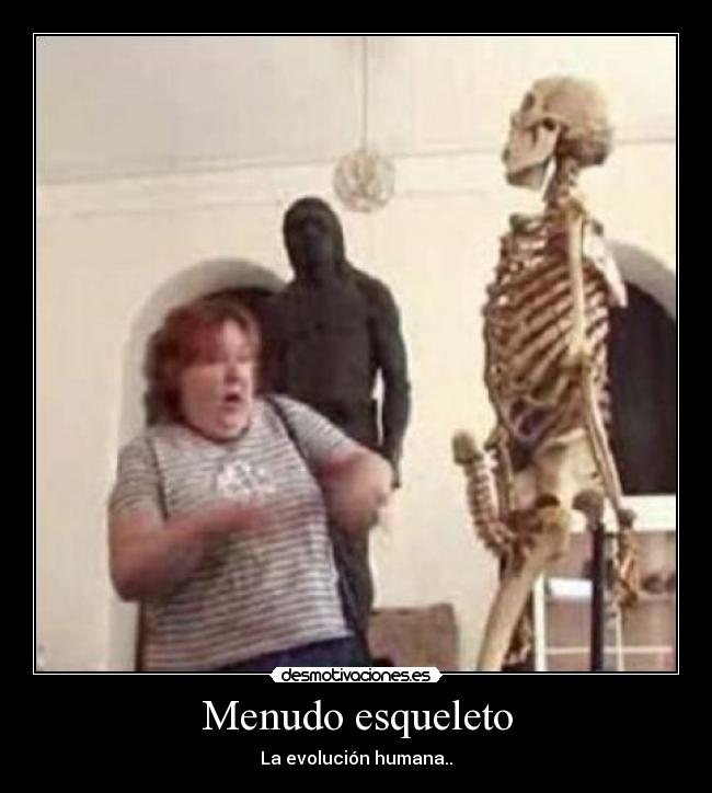 Menudo esqueleto - La evolución humana..