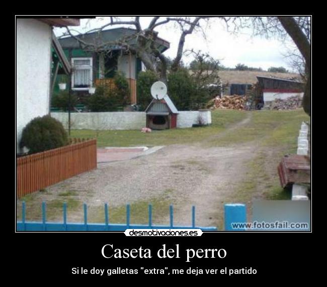 Caseta del perro - Si le doy galletas extra, me deja ver el partido