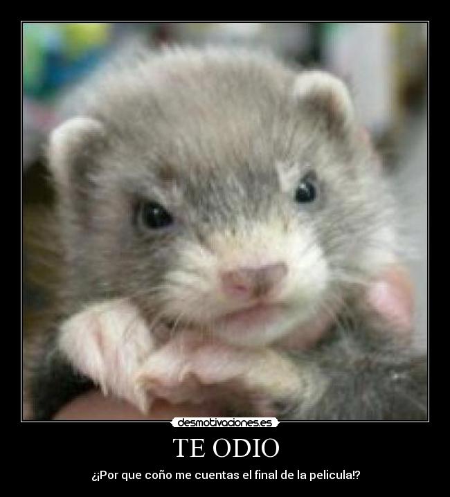 TE ODIO - ¿¡Por que coño me cuentas el final de la pelicula!?