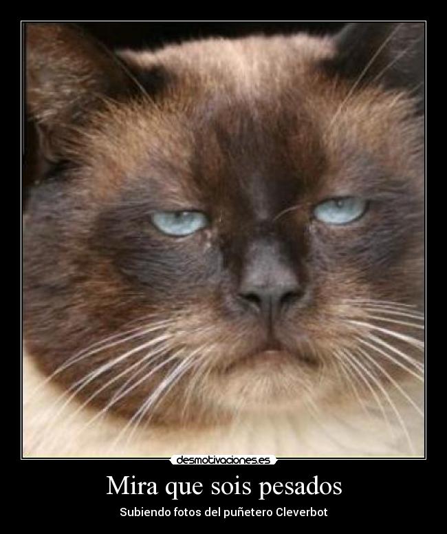 Mira que sois pesados -