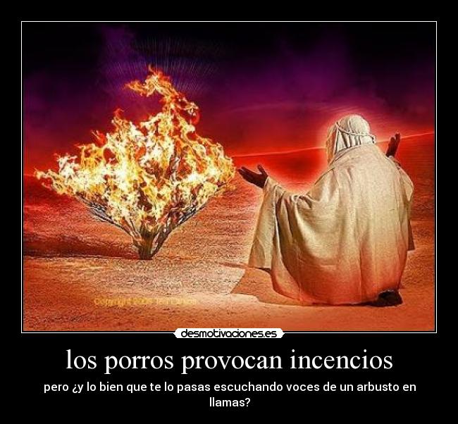 los porros provocan incencios - pero ¿y lo bien que te lo pasas escuchando voces de un arbusto en llamas?