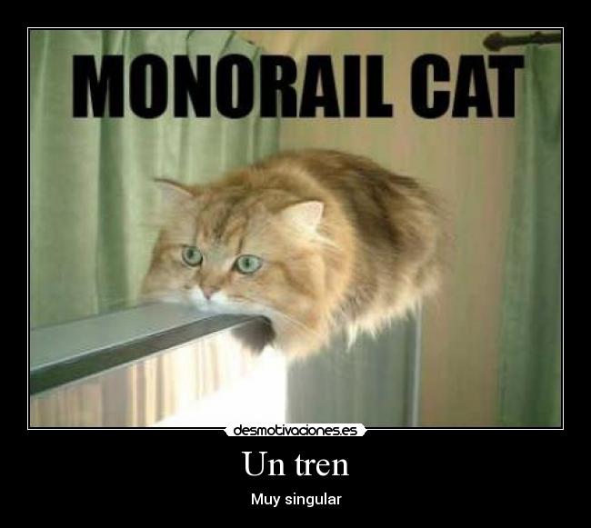 Un tren -