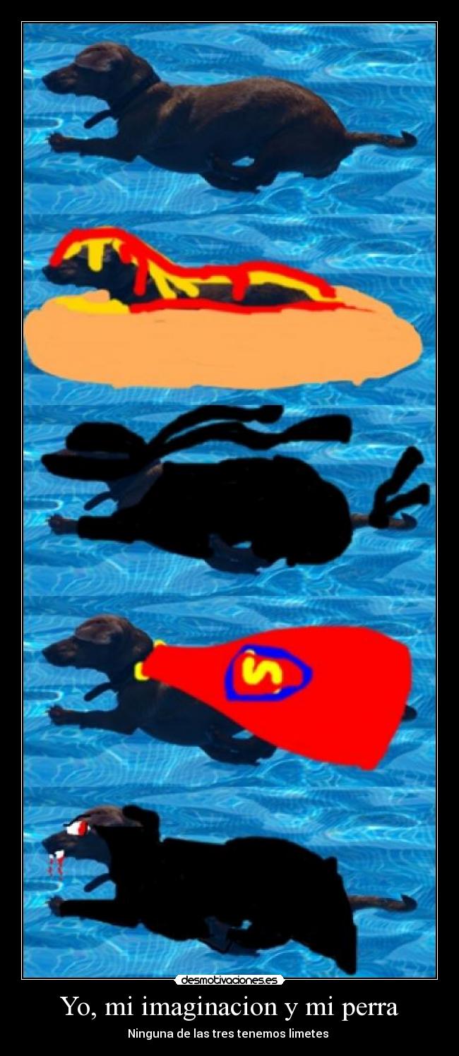 Yo, mi imaginacion y mi perra -