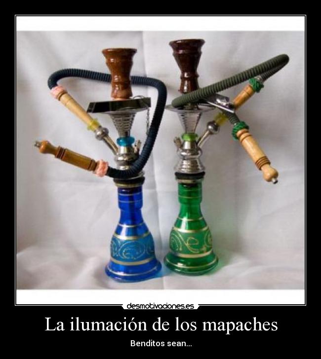 La ilumación de los mapaches -