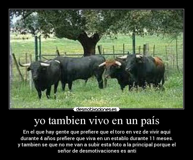 yo tambien vivo en un país - 