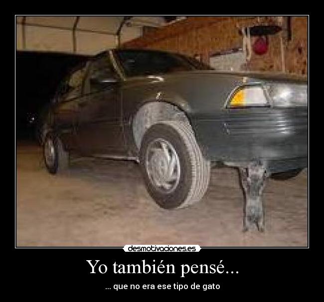 Yo también pensé... -