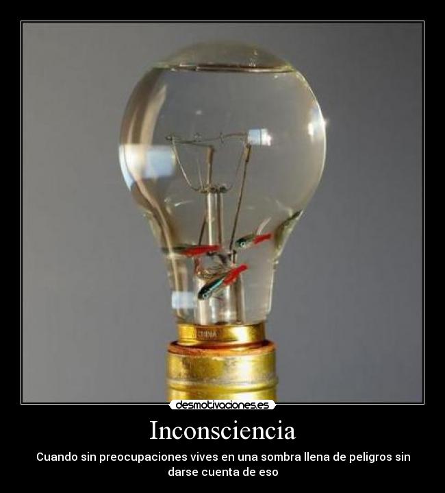 carteles fotos internet desmotivaciones