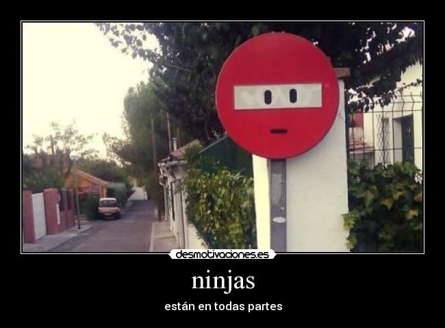 carteles ninjas desmotivaciones