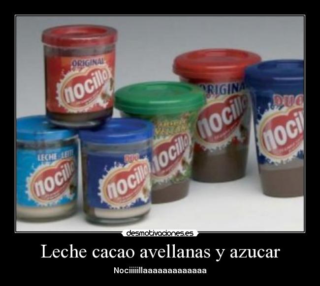 Leche cacao avellanas y azucar - 