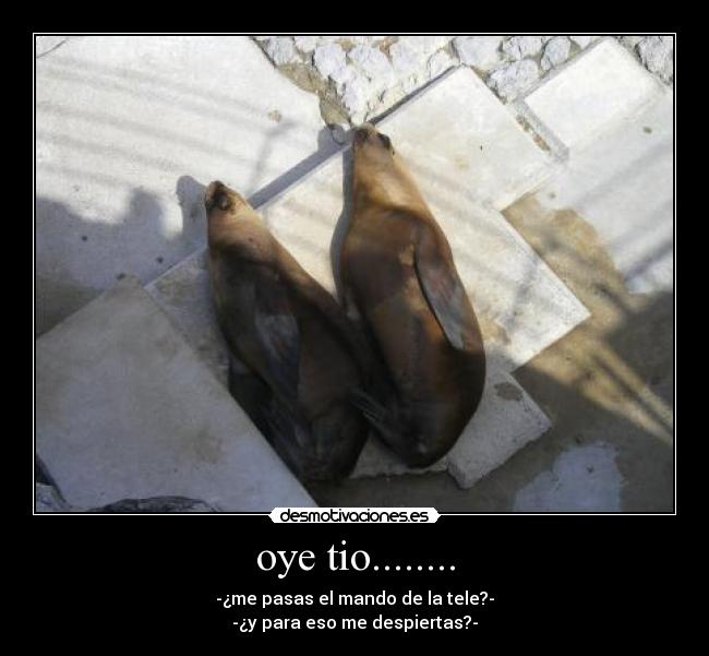 oye tio........ -
