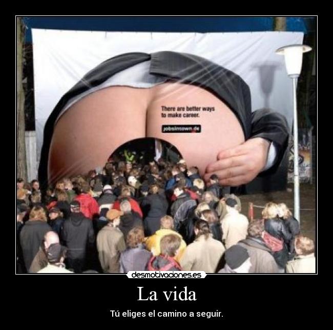 carteles vida vida culo desmotivaciones