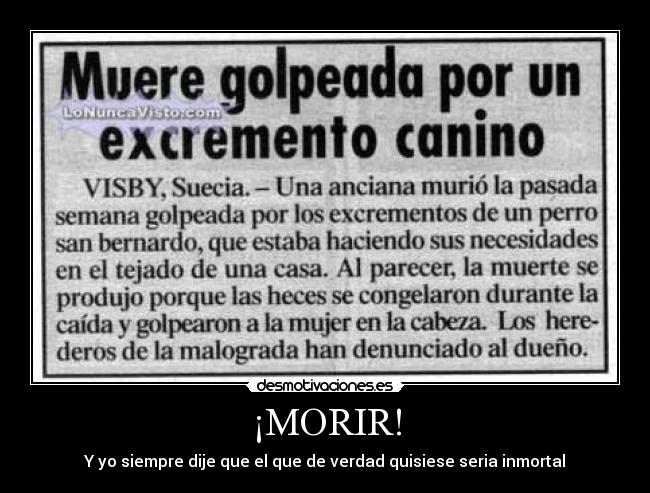 carteles muerte anciana suecia excremento perro golpe accidente congelada vida desmotivaciones