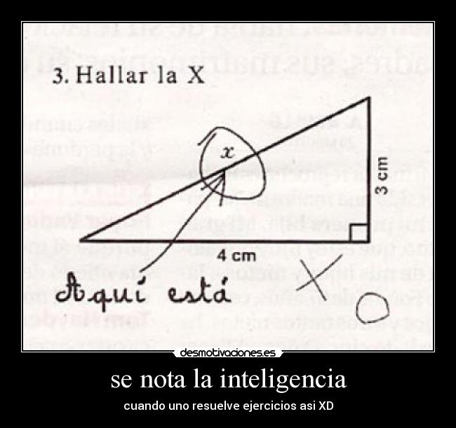 se nota la inteligencia - 