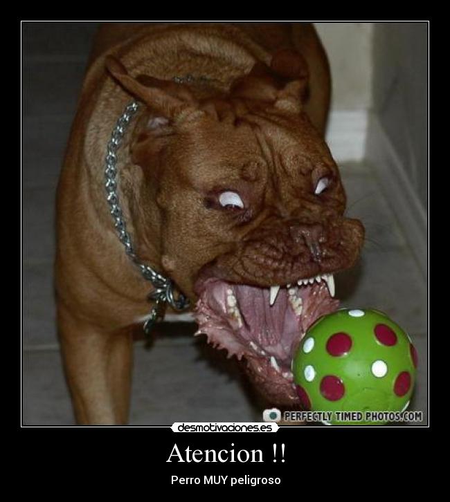 carteles bestial desmotivaciones