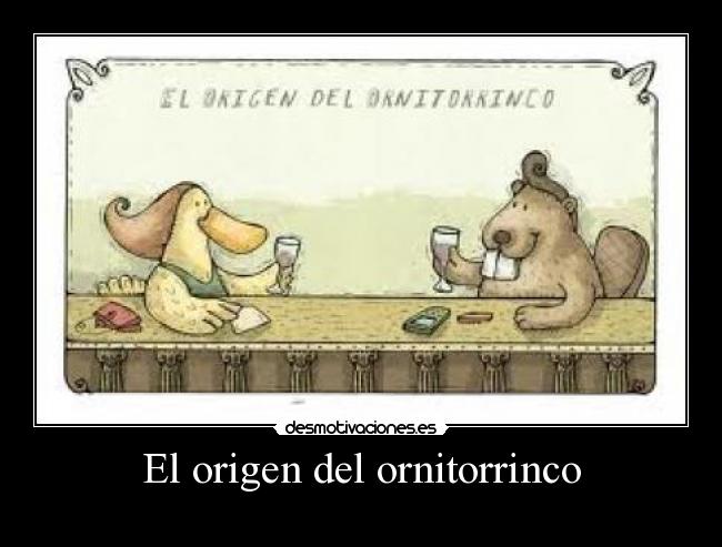 El origen del ornitorrinco -