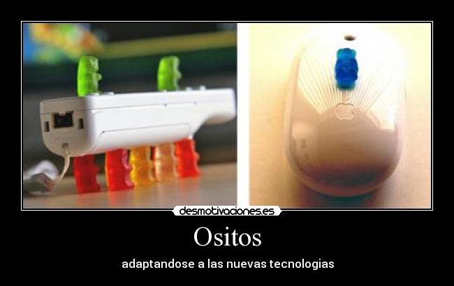Ositos - 