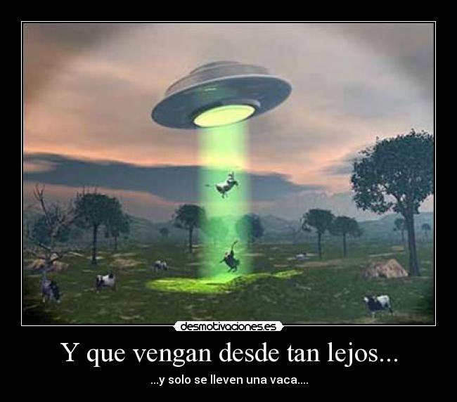 Y que vengan desde tan lejos... - ...y solo se lleven una vaca....