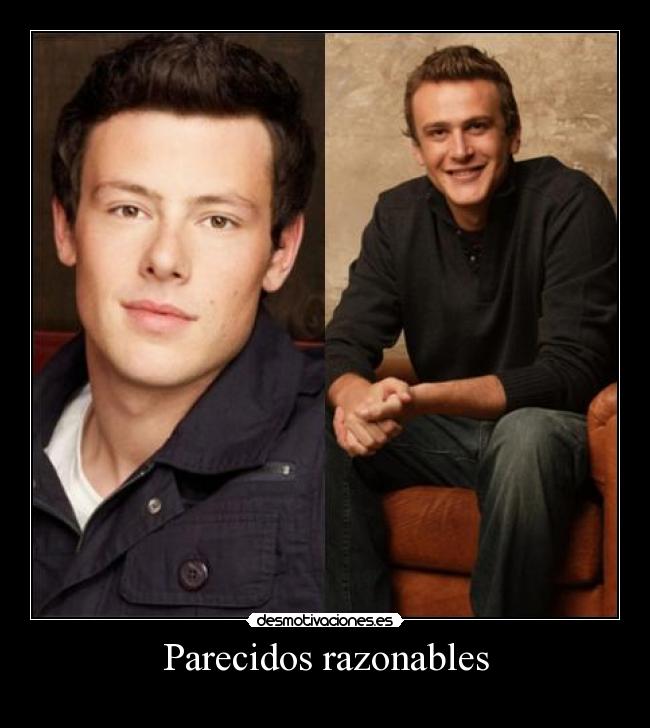 Parecidos razonables -