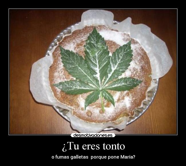 ¿Tu eres tonto -
