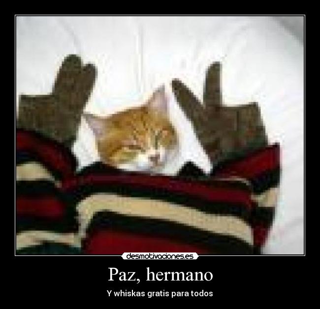 Paz, hermano -