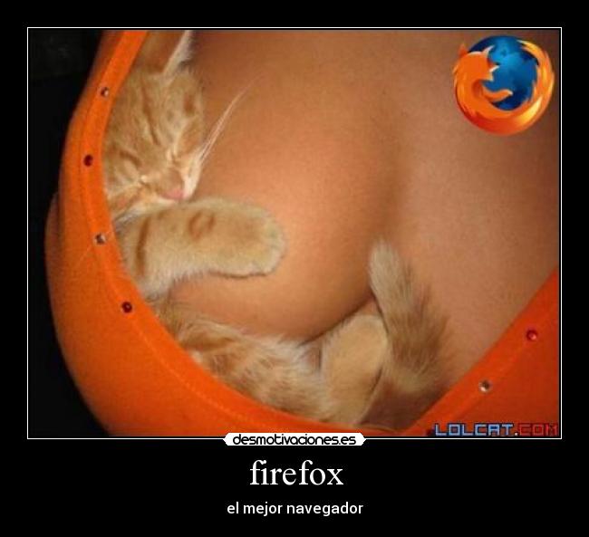 firefox - 