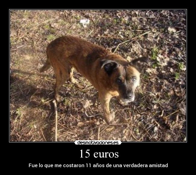carteles desmotivaciones