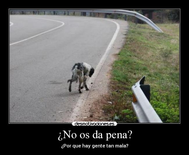¿No os da pena? - ¿Por que hay gente tan mala?